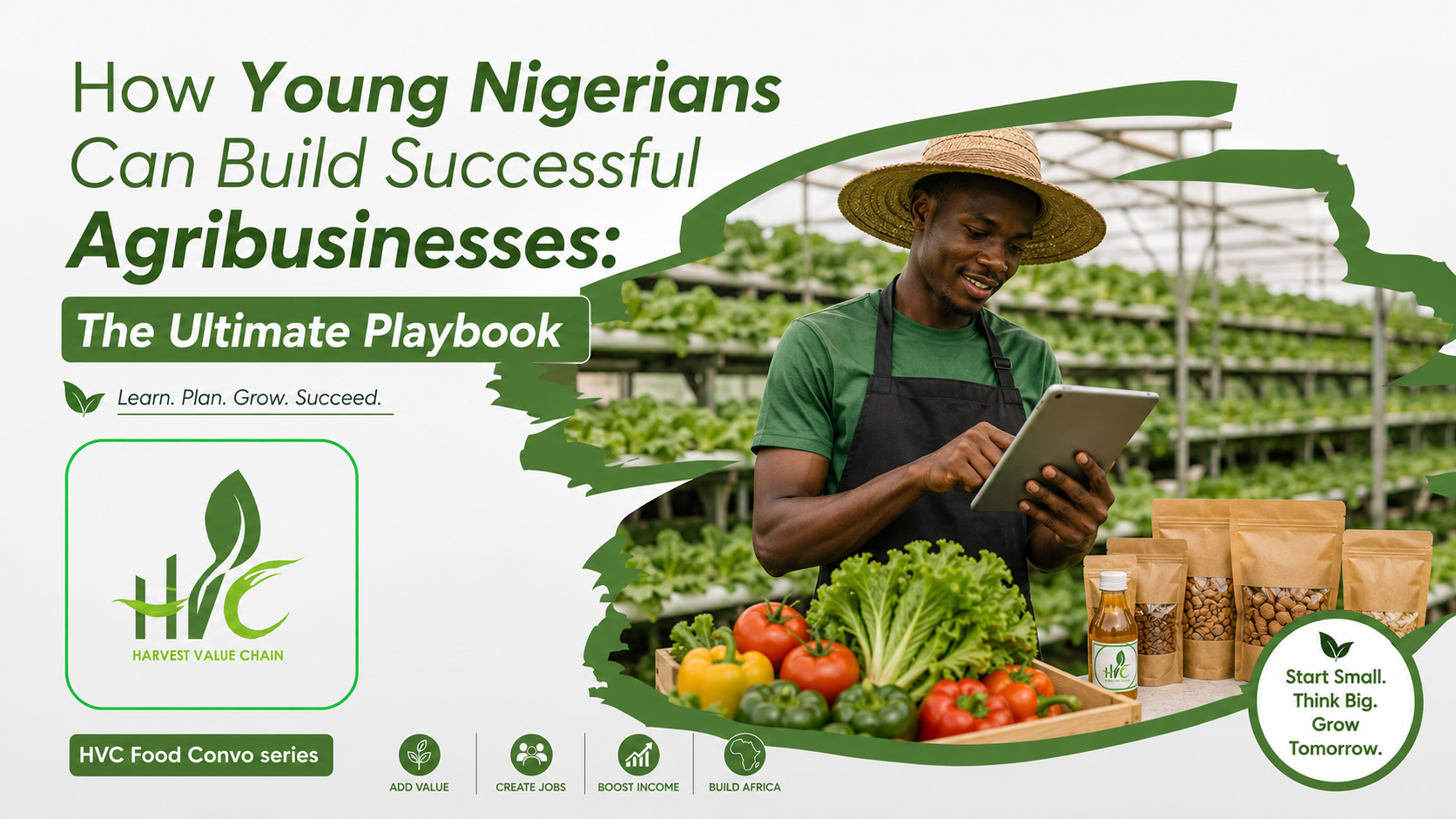 How Young Nigerians Can Build Successful Agribusinesses: The Ultimate Playbook