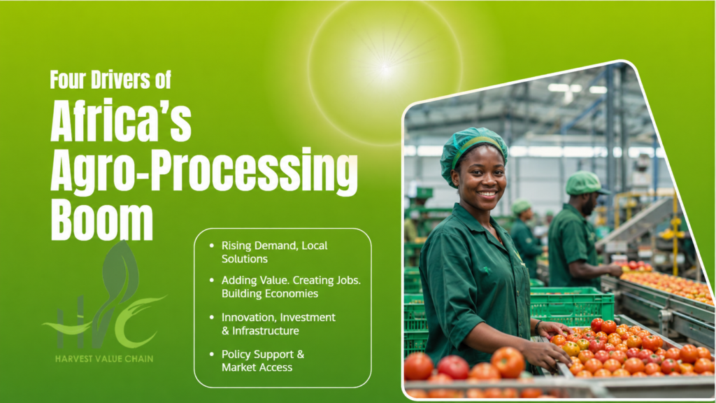 Africa"s agro-processing boom